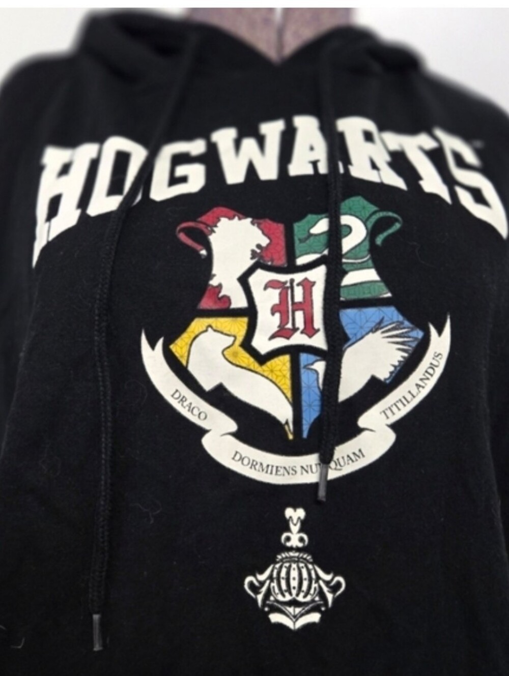 Harry Potter Hogwarts Crest Pullover Hoodie Size Small - Picture 3 of 5